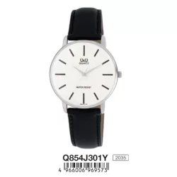 Ceas bărbătesc Q&Q quartz, carcasă argintie Q854J301Y