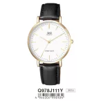 Ceas bărbătesc Q&Q quartz, carcasă aurie Q978J111Y