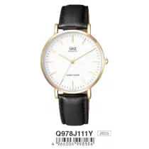 Ceas bărbătesc Q&Q quartz, carcasă aurie Q978J111Y