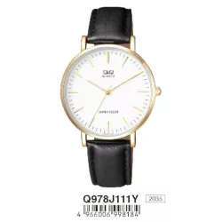 Ceas bărbătesc Q&Q quartz, carcasă aurie Q978J111Y