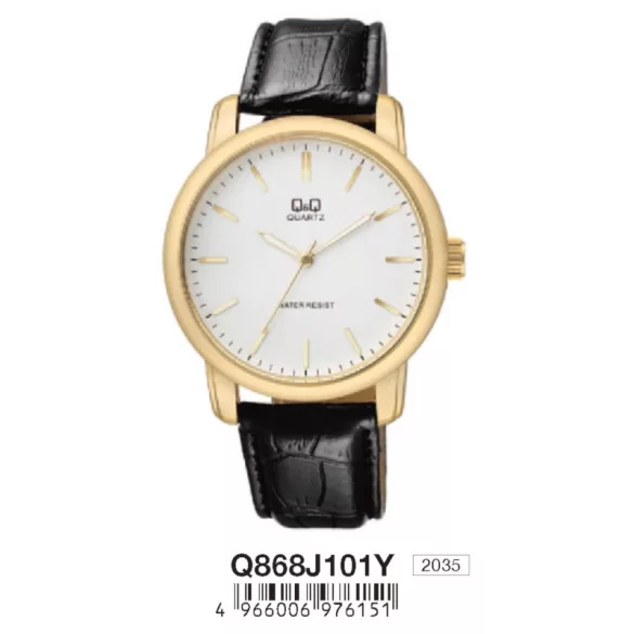 Ceas bărbătesc Q&Q quartz, carcasă aurie Q868J101Y