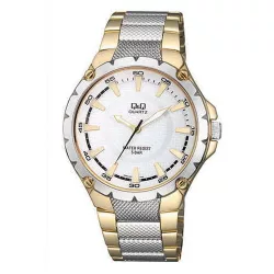 Ceas bărbătesc Q&Q quartz, bicolor, Q960J401Y