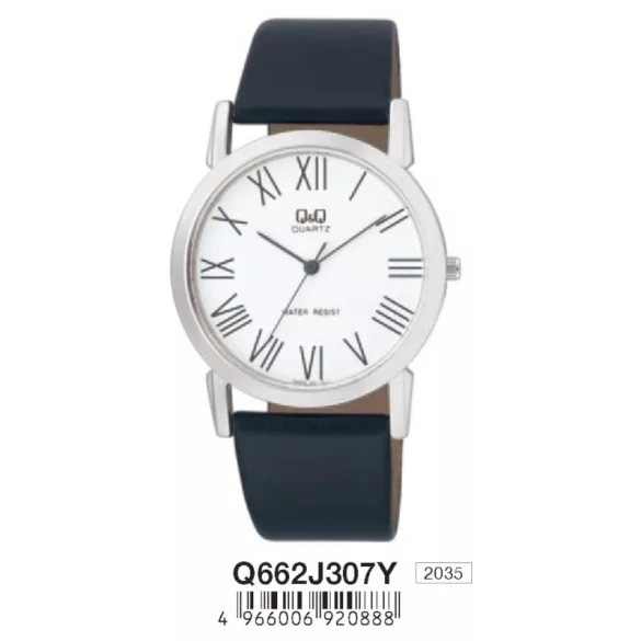 Ceas bărbătesc Q&Q quartz, carcasă argintie, Q662J307Y