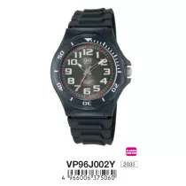 Ceas bărbătesc Q&Q plastic, quartz, negru, VP96-002