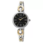   Q&Q női karóra, quartz, ezüst színű fémtok, bicolor színű fémcsat, fekete számlap F10A-003PY